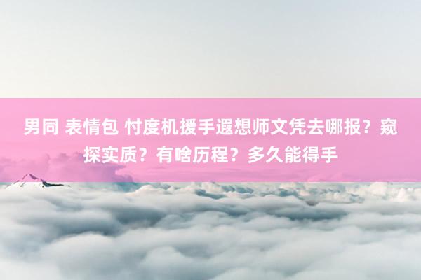 男同 表情包 忖度机援手遐想师文凭去哪报？窥探实质？有啥历程？多久能得手