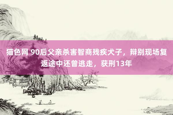 猫色网 90后父亲杀害智商残疾犬子，辩别现场复返途中还曾逃走，获刑13年