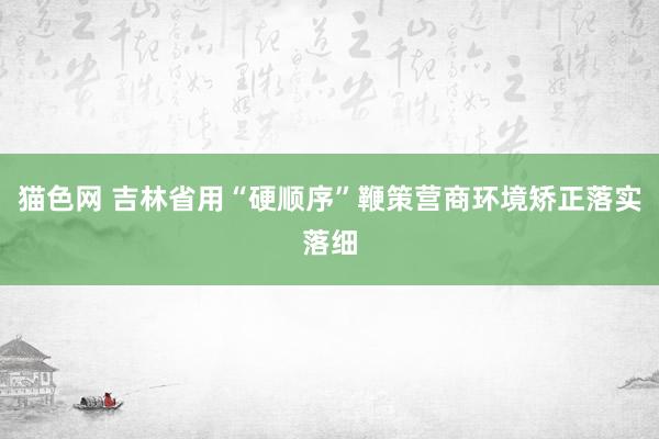 猫色网 吉林省用“硬顺序”鞭策营商环境矫正落实落细