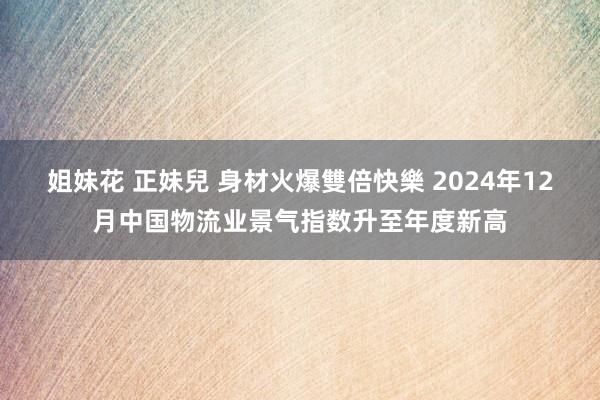 姐妹花 正妹兒 身材火爆雙倍快樂 2024年12月中国物流业景气指数升至年度新高