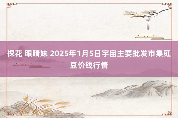 探花 眼睛妹 2025年1月5日宇宙主要批发市集豇豆价钱行情