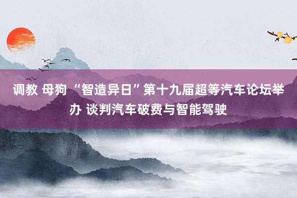 调教 母狗 “智造异日”第十九届超等汽车论坛举办 谈判汽车破费与智能驾驶