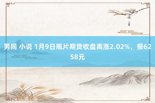 男同 小说 1月9日瓶片期货收盘高涨2.02%，报6258元