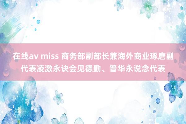 在线av miss 商务部副部长兼海外商业琢磨副代表凌激永诀会见德勤、普华永说念代表