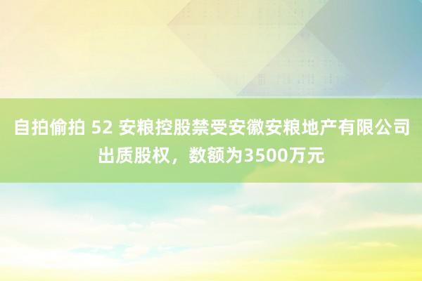 自拍偷拍 52 安粮控股禁受安徽安粮地产有限公司出质股权，数额为3500万元