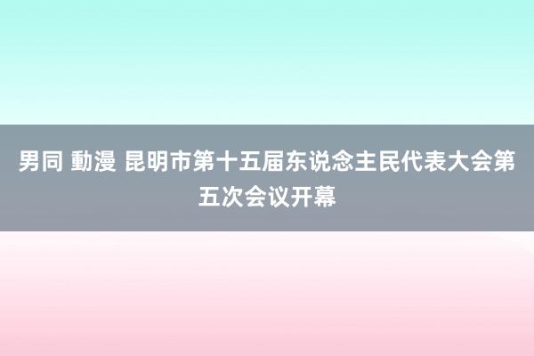 男同 動漫 昆明市第十五届东说念主民代表大会第五次会议开幕