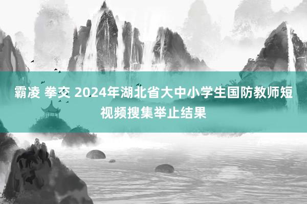 霸凌 拳交 2024年湖北省大中小学生国防教师短视频搜集举止结果