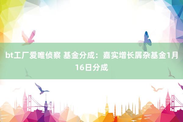 bt工厂爱唯侦察 基金分成：嘉实增长羼杂基金1月16日分成