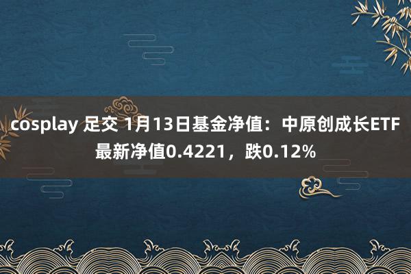 cosplay 足交 1月13日基金净值：中原创成长ETF最新净值0.4221，跌0.12%