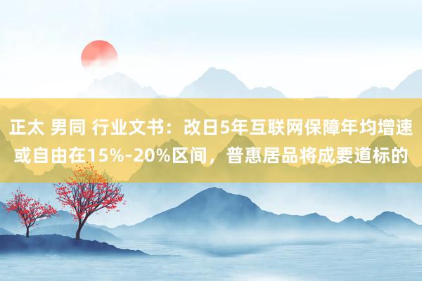 正太 男同 行业文书：改日5年互联网保障年均增速或自由在15%-20%区间，普惠居品将成要道标的