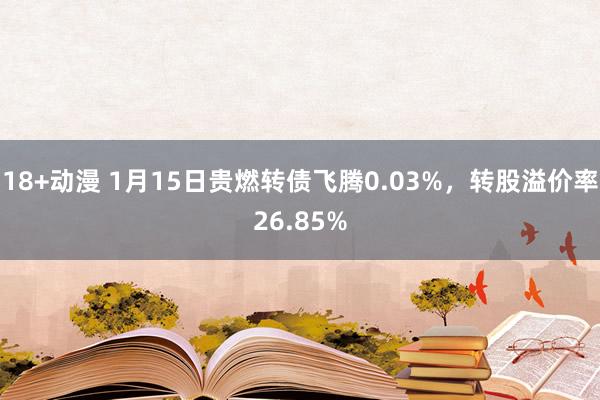 18+动漫 1月15日贵燃转债飞腾0.03%，转股溢价率26.85%