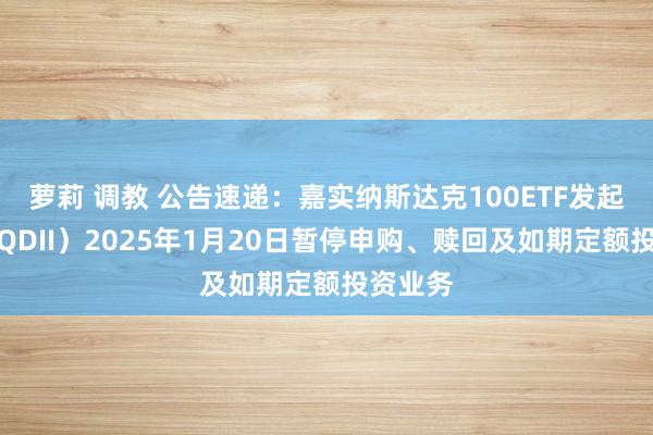 萝莉 调教 公告速递：嘉实纳斯达克100ETF发起聚会（QDII）2025年1月20日暂停申购、赎回及如期定额投资业务